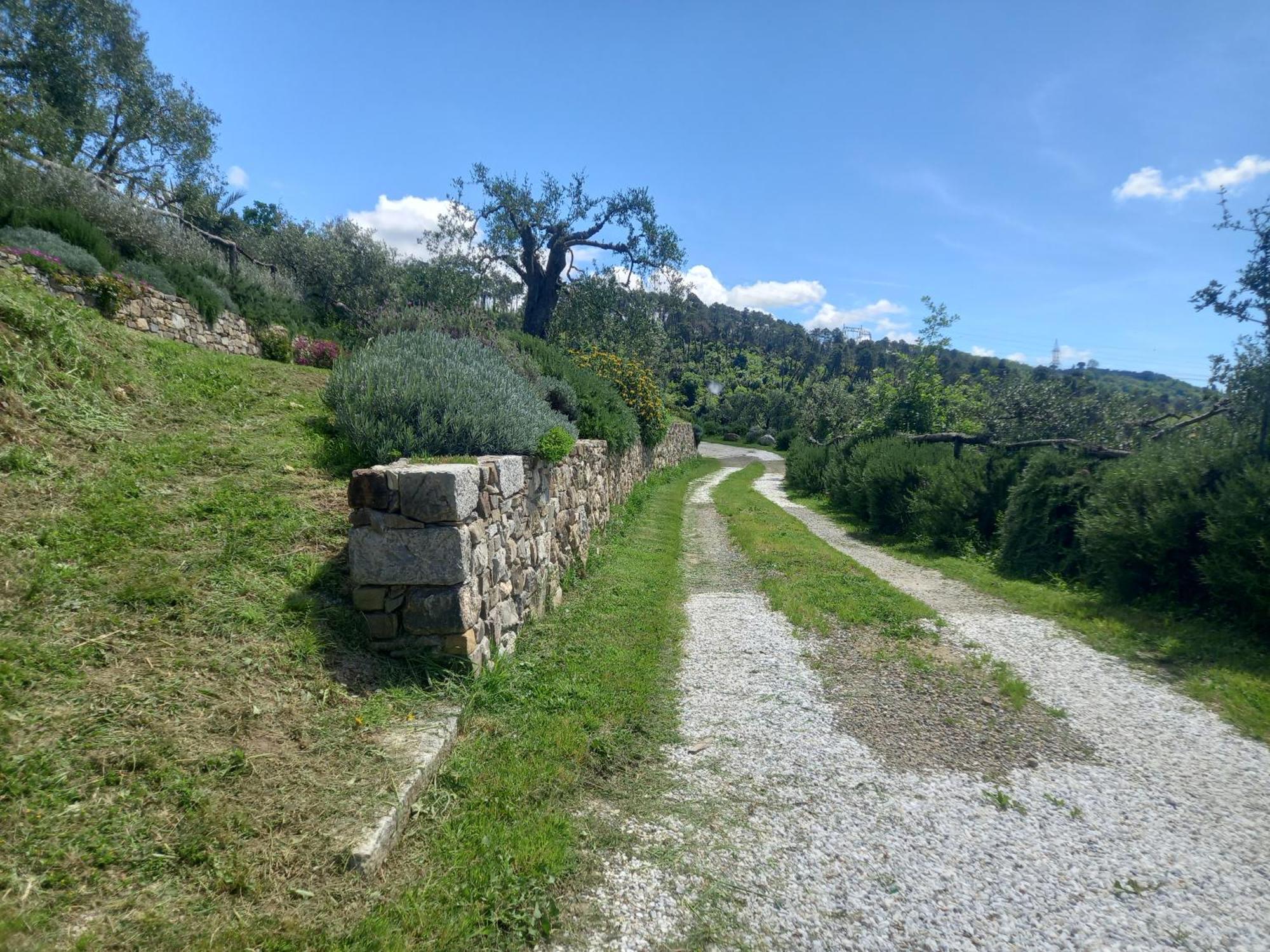 Hotel Il Colle Della Brina Sarzana Exterior foto